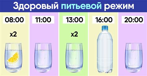 Альтернативные варианты питьевого режима после употребления груши