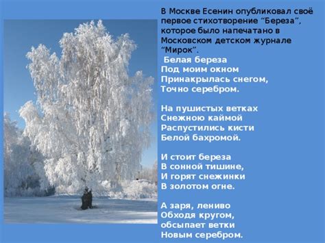 Береза в поэзии Блока и Есенина