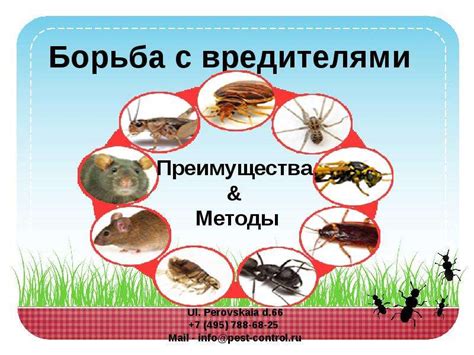 Борьба с вредителями