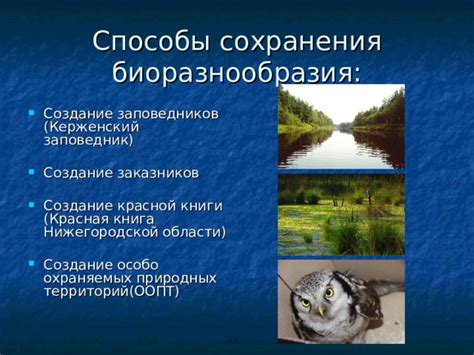 Важность сохранения прослушивания