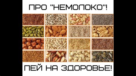 Вегетарианская альтернатива аминокислотам из животных продуктов