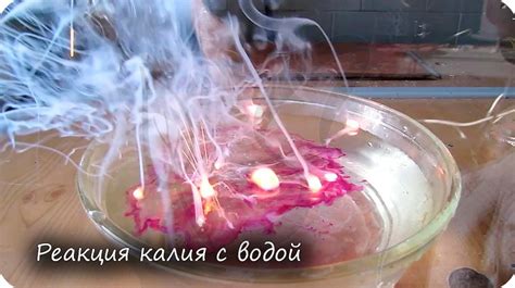 Взаимодействие дыни с водой