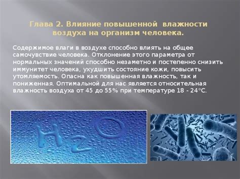 Влияние влажности на сроки