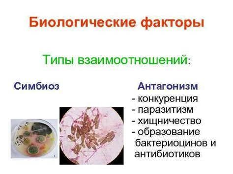 Влияние вредных микроорганизмов