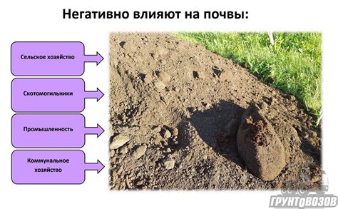 Влияние геологического состава почвы
