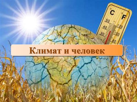 Влияние климата на форму лица
