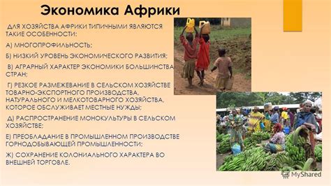 Влияние моноотраслевой экономики на развитие стран Африки