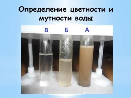 Влияние некачественной воды на мутность чачи