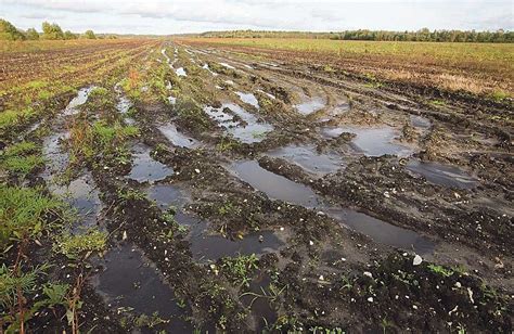 Влияние песчаных почв на сельскохозяйственное производство
