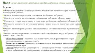 Влияние природного содержания клейковины