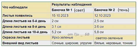 Влияние света на привычку гуппи к углу