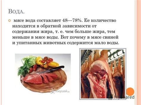 Вода в мясе