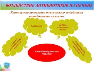 Воздействие антибиотиков