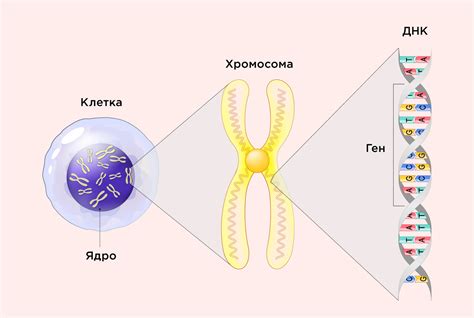География и наследственность
