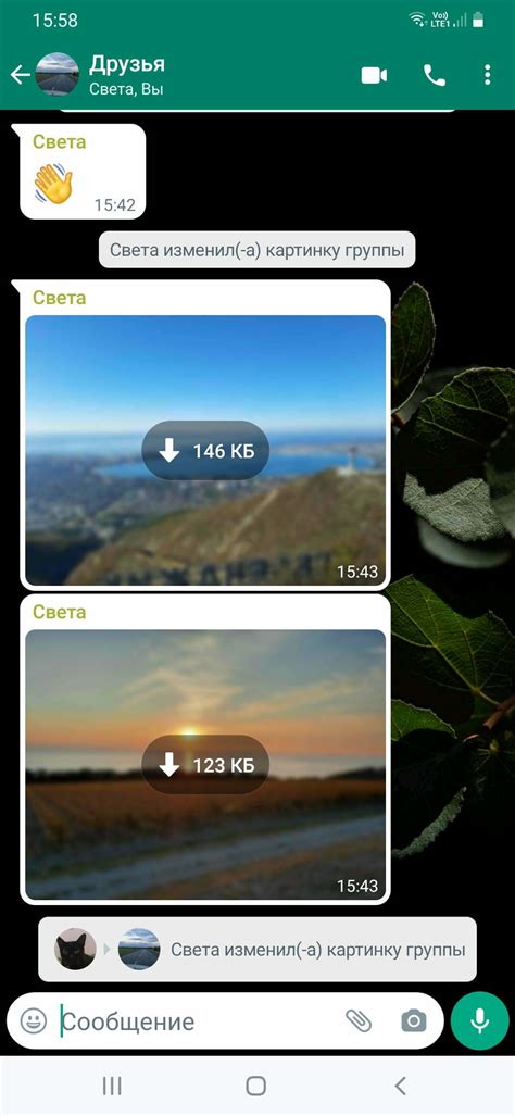 Достоинства зеленого кружка на аватарке в WhatsApp