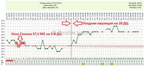 Естественный цикл