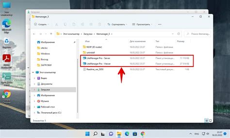 Загрузка и установка Litemanager