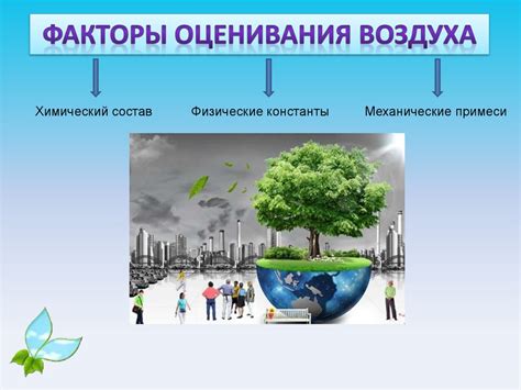 Значение окружающей среды