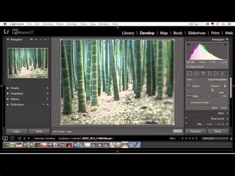 Изучение функций и возможностей Lightroom