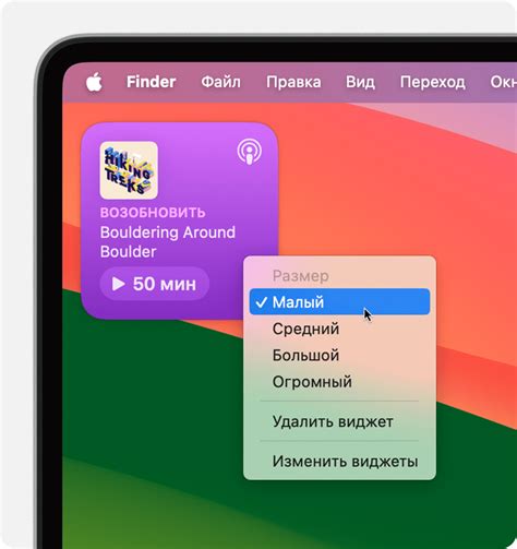 Использование "Информации" в macOS