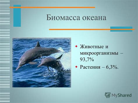 Историческая справка о границе биосферы в атмосфере