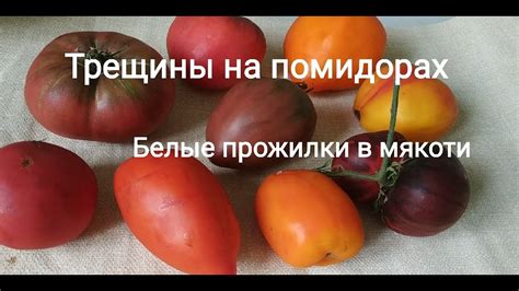 Как избежать тягучего рассола в помидорах - полезные советы