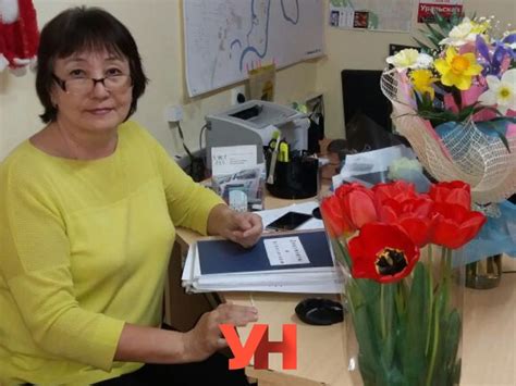 Как правильно обращаться с пломбой