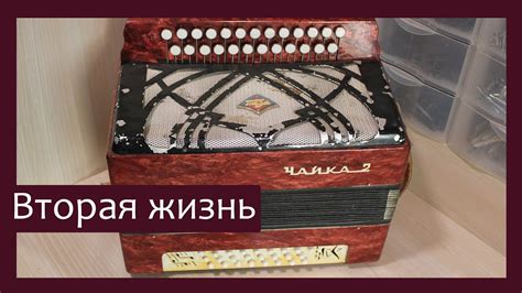 Как проверить настроенность гармони Чайка 2