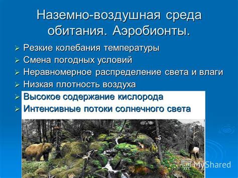 Межсезонье и смена погодных условий
