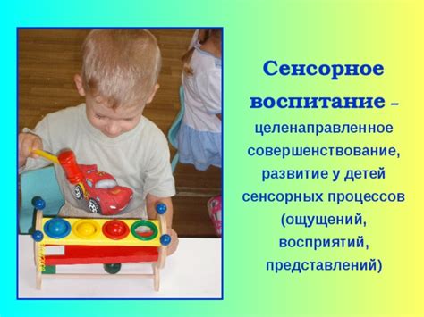 Механизмы сенсорных ощущений