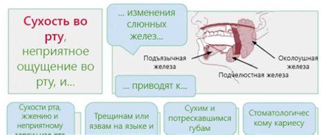 Механизм образования горького привкуса