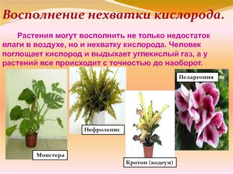 Недостаток влаги в воздухе