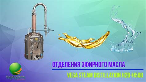 Необходимое оборудование для изготовления эфирного масла петрушки