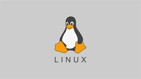 Нужно знать перед настройкой COM-порта в Linux