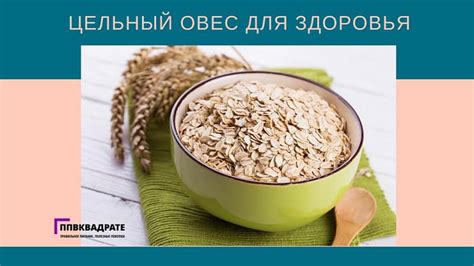 Овсянка как источник энергии
