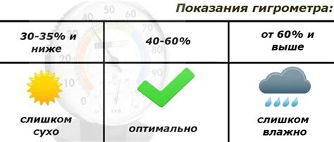 Повышенная влажность воздуха и уровень влаги в помещении
