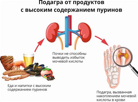 Подъем септума: причины и факторы