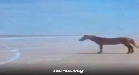 Почему ладан вызывает тошноту:
