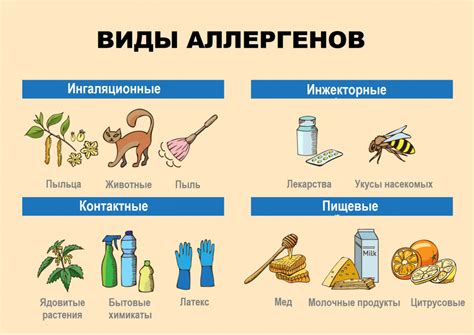 Появление аллергии на устрицы