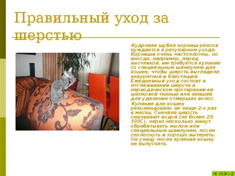 Правильный уход за шерстью для усиления волнистости