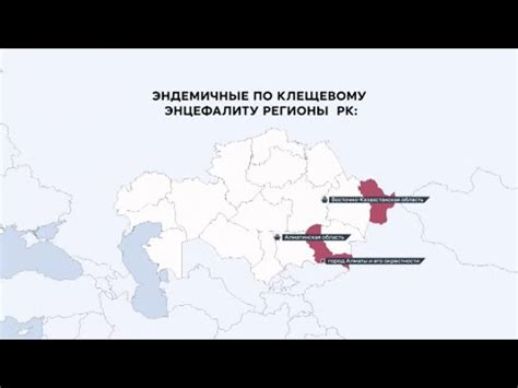 Предосторожности и советы