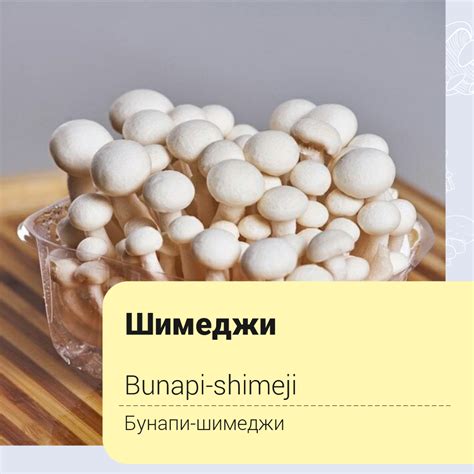 Применение грибов шимиджи белых в народной медицине