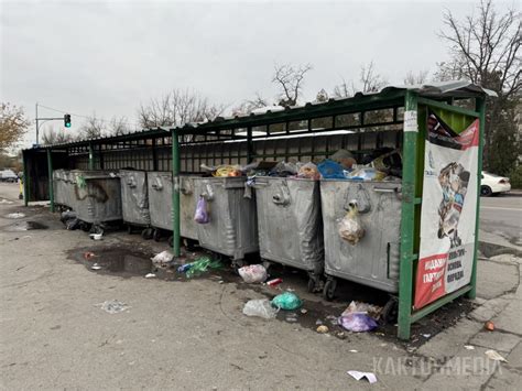 Примеры правил выноса мусора в исламских странах