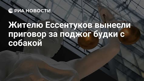 Причины вытаскивания подстилки из будки собакой