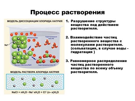 Процесс растворения резинки во рту