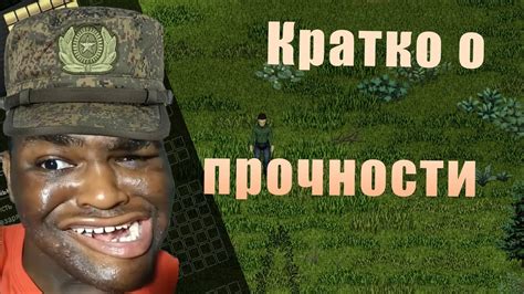Прочность окон в игре Project Zomboid