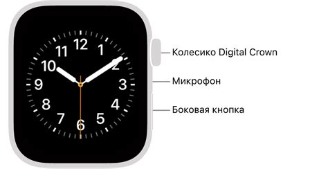 Рация aloeFeng: как включить в 4 шага