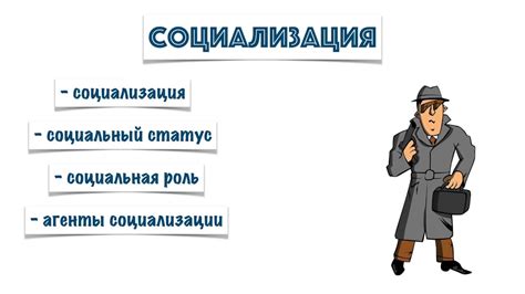 Регулярная социализация