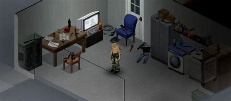 Рекомендации по выбору окон в игре Project Zomboid