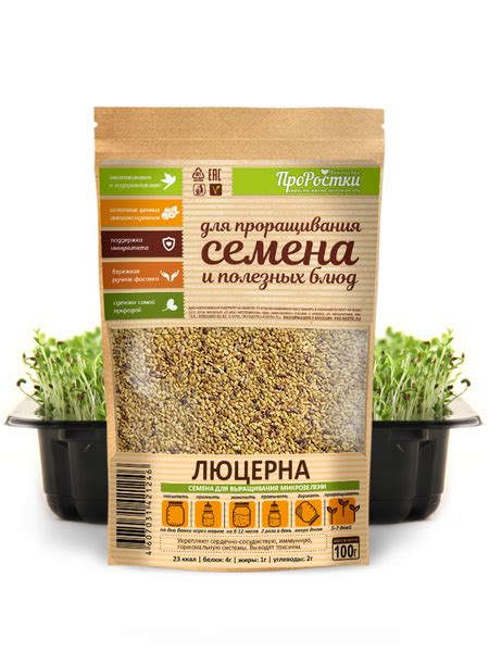 Свежая люцерна для поросят: полезные советы и рекомендации